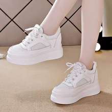 Giày Sneaker _ Xanh Dương,Giày 1 Cổ Thấp