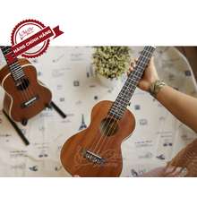 Đàn Ukulele Concert Chard U 24A Mặt Đàn