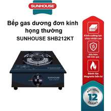 Bếp gas dương đơn kính họng thường 