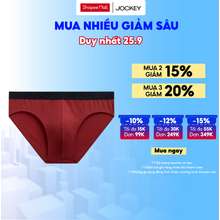 Quần Lót Nam Thun Cotton Dáng Brief Cao Cấp 