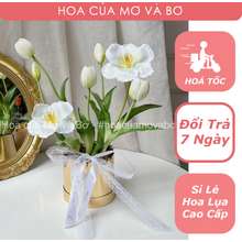 Chậu Hoa Tulip Cắm Sẵn Nhiều Màu 40Cm -