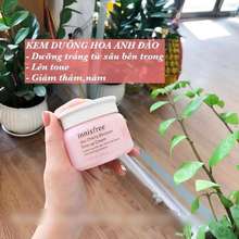 Kem Dưỡng Innisfree Hoa Anh