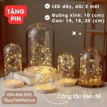 Chụp Thủy Tinh Đế Gỗ Đèn Led Dây 2