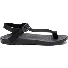 Sandal Bodhi