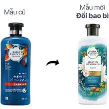 Dầu gội Argan Morocco tinh dầu Argan