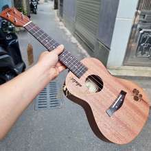 Đàn Ukulele Concert Tenor Cỏ Bốn Lá For