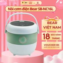 Nồi cơm điện mini 06L SB-NC16L - Chống