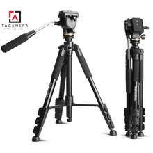 Chân Máy Ảnh - Tripod 