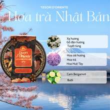 Nến thơm Tesori dOriente 200gram chính