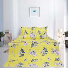 Bộ Chăn Drap Gối Size 1.6X2M Cotton Thông