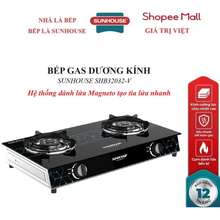 Bếp Gas Dương Kính