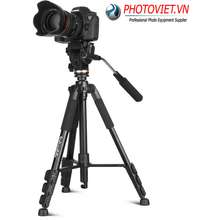 Chân Máy Ảnh - Tripod