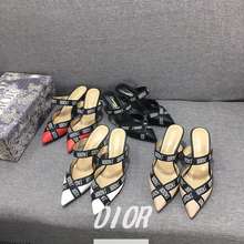 Dior Giày Cao Gót Nhọn 6Cm Cho Nữ Giày Cao 