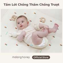 [Malang Honey Chính Hãng] Tấm Lót Chống