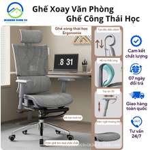 Ghế Xoay Văn Phòng, Ghế Công Thái Học