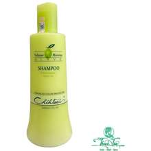 [ Nl ] Dầu Gội Olive Shampoo