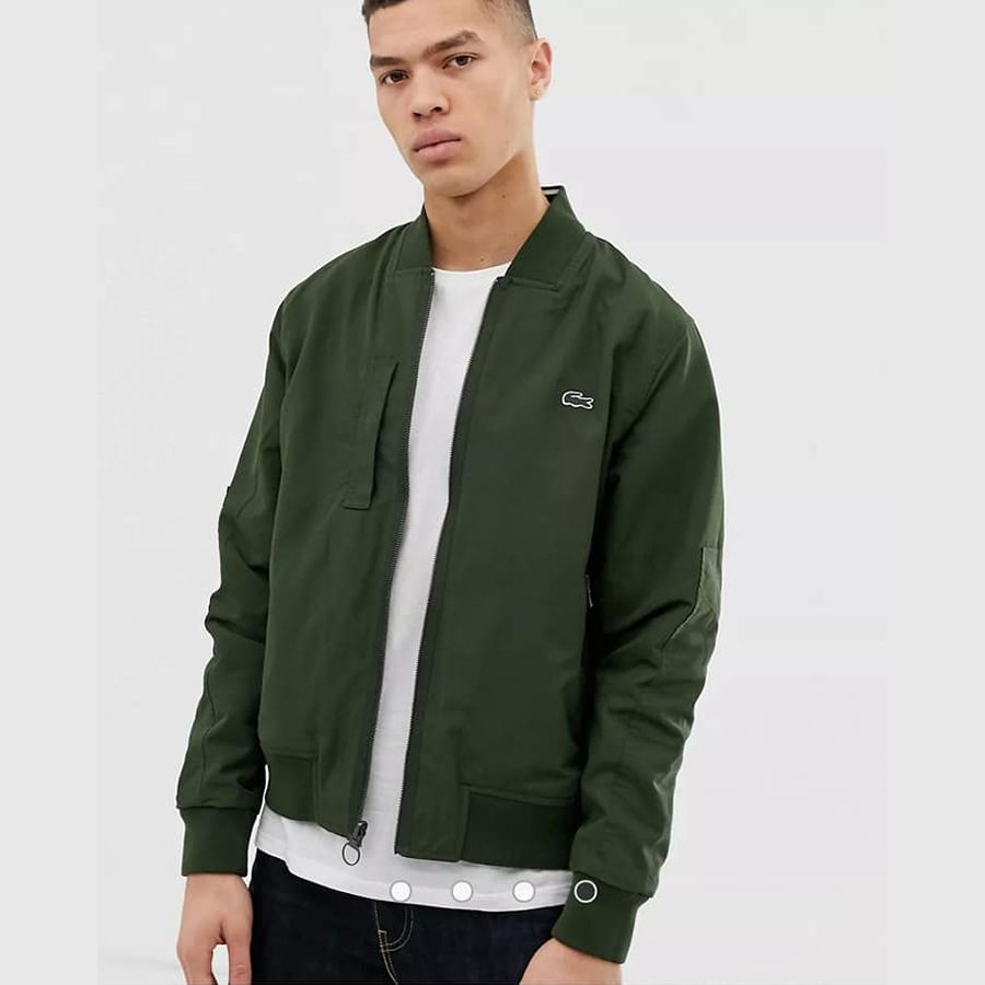 ao bomber lacoste