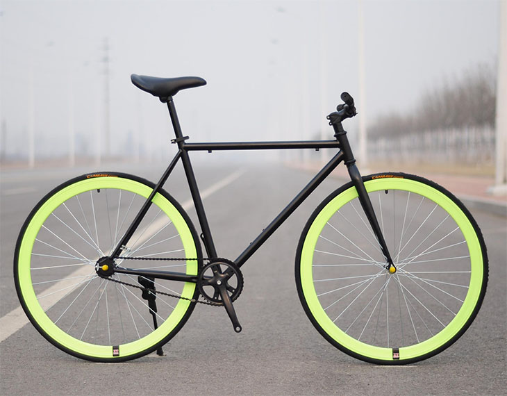 xe dap fixed gear