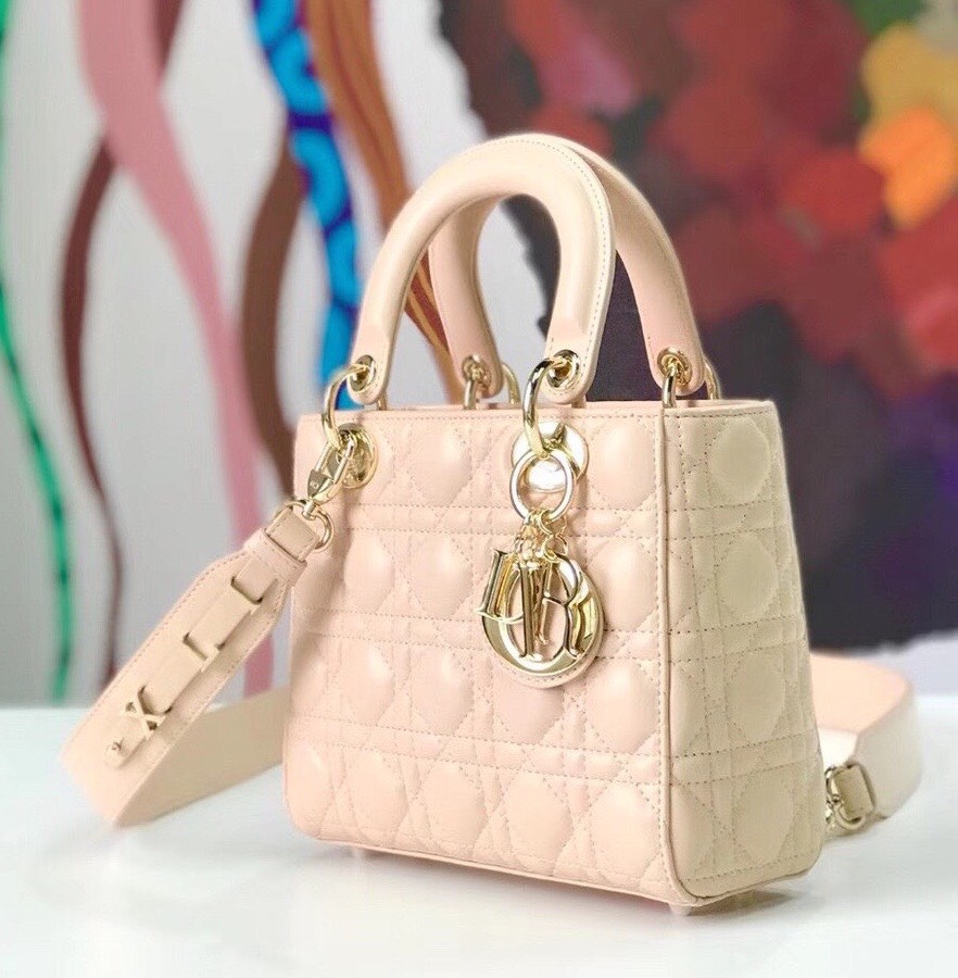 tui Lady Dior Bag