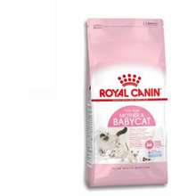 Royal Canin Thức ăn cho mèo Mother and Baby
