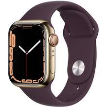 Apple Watch Series 7 Gold Stainless Steel / Dark