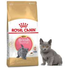 Royal Canin Thức ăn cho mèo British Shorthair 