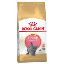 Royal Canin Thức ăn cho mèo British Shorthair 